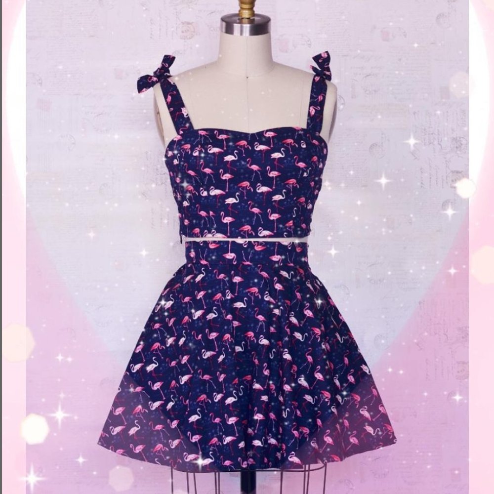Flamingo Skirt & Top Set NWOT
